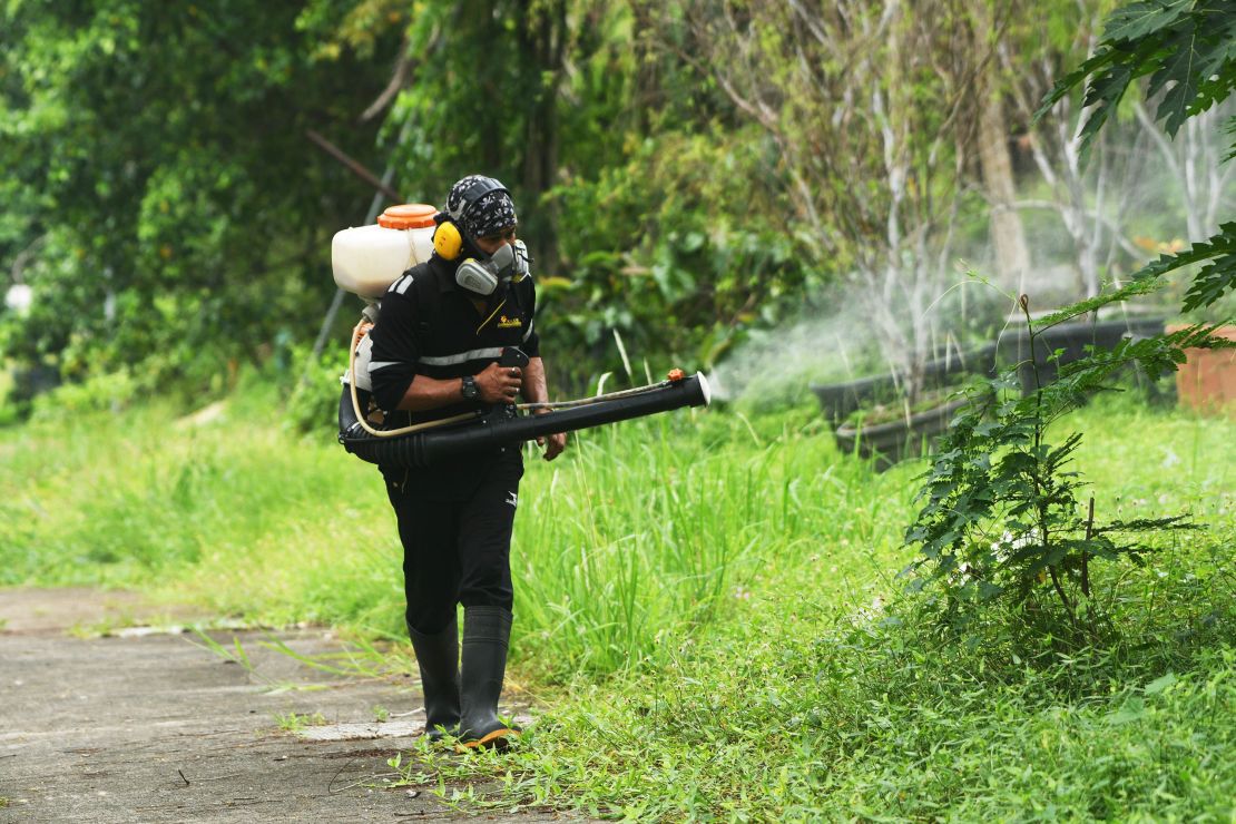 Hot and Wet Weather! Dengue Fever Spreads Fast in Asia